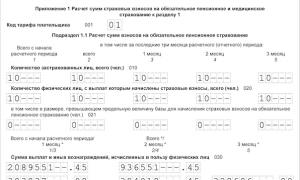 Сроки уплаты страховых взносов Когда уголовного наказания можно избежать